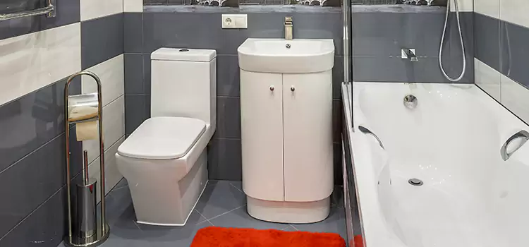 Hansgrohe Shaving Mirror Pico Rivera